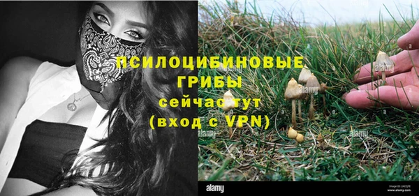 альфа пвп Лиски