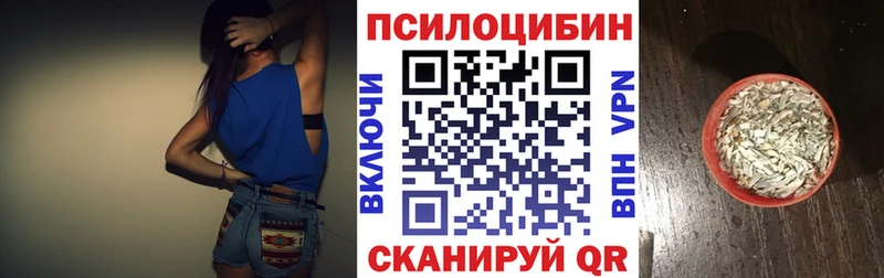 Купить закладки  Бутурлиновка  Галлюциногенные грибы Psilocybe 